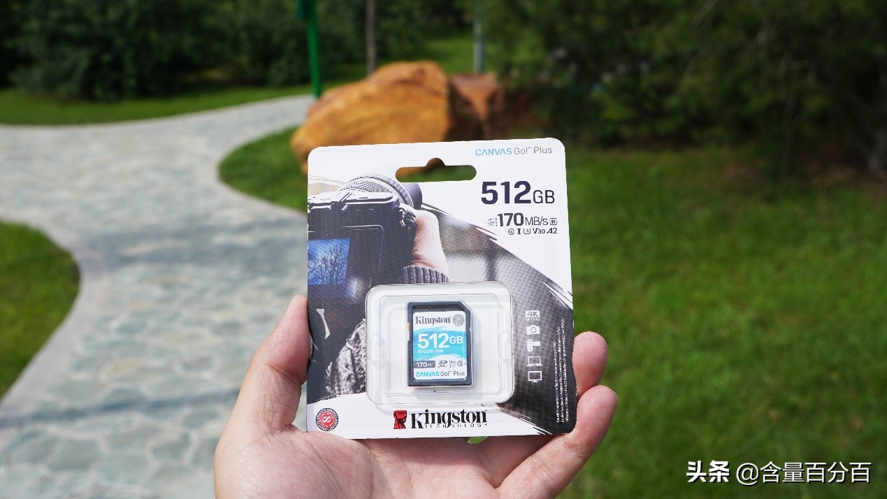 金士顿microsdcanvasgoplus内存卡,金士顿canvasgomicrosd