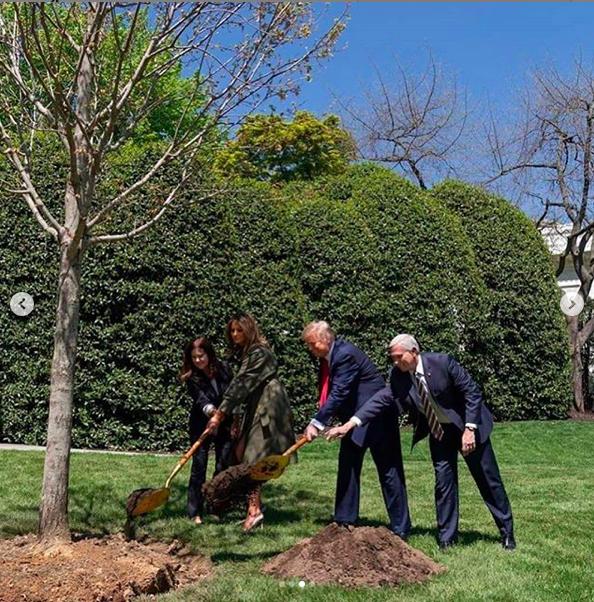 美国第一夫人植树节,美国第一夫人绿色衣服