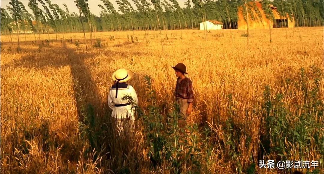 帮你整理了20部必看好片,最值得看的佳片