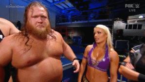 wwesd和raw所有选手,wwesd冠军腰带