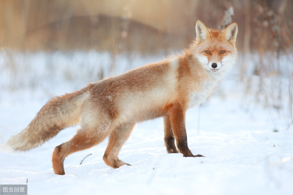 打破成见与自我努力,打破偏见认识自己
