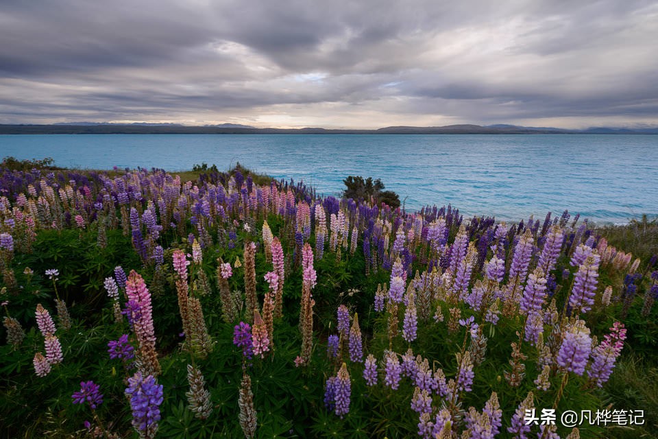学习摄影入门画质,学习摄影有哪些常识
