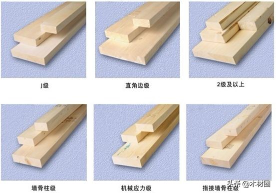 加拿大盛产哪些木材,加拿大bc省真实图片