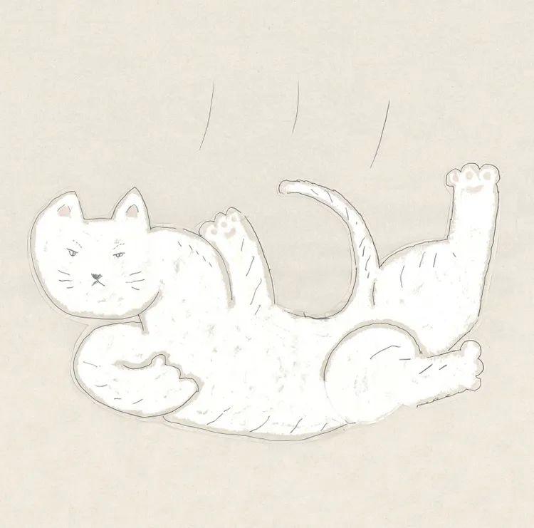 生活方式的提案,汇聚千种美好生活提案