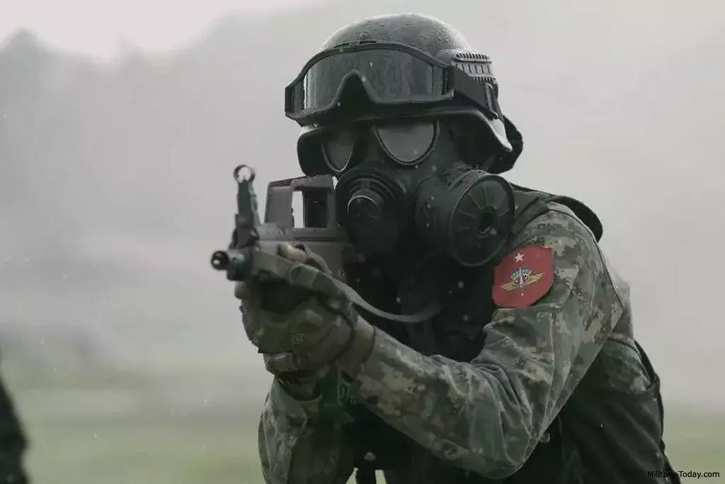 中国山寨武器,中国山寨版步枪