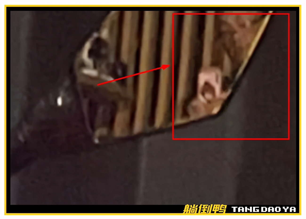 乔碧萝竟是大妈,乔碧萝日本人