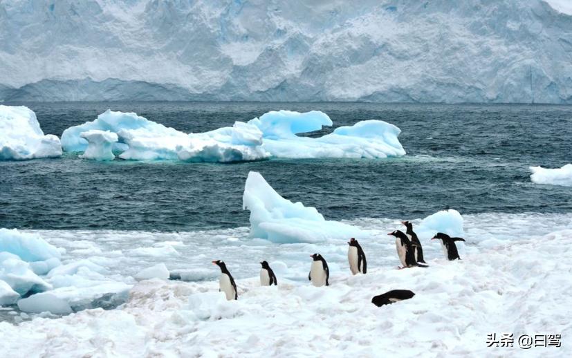 降价后的VOLVOS90你才发现它的好吗?这是款豪华“养生”轿车…