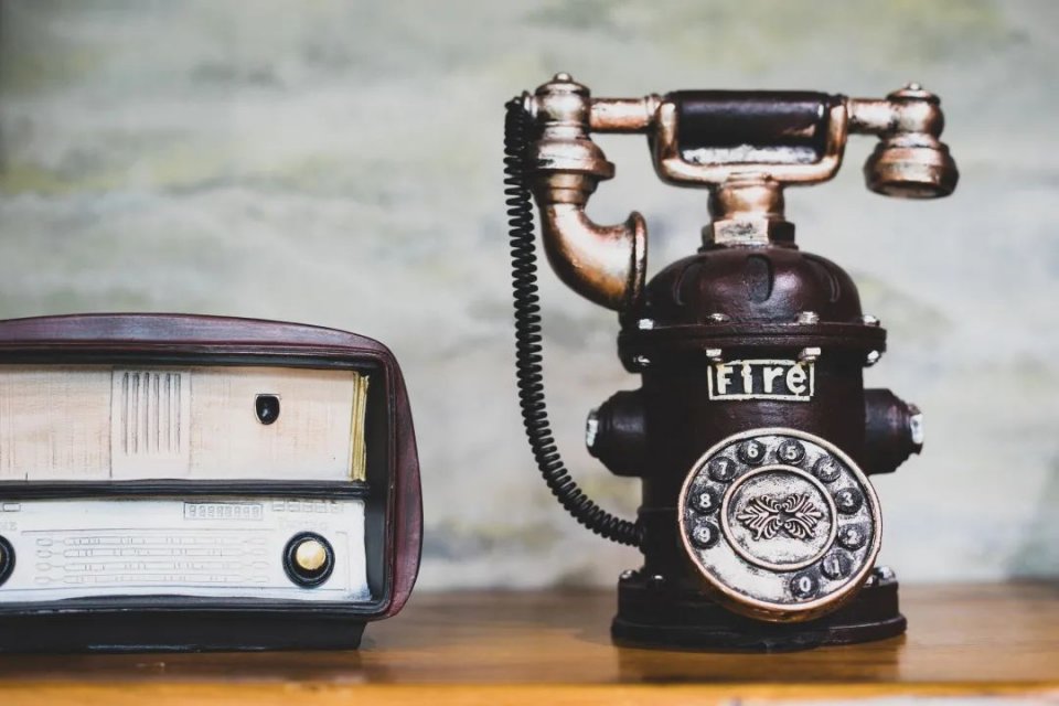 把整颗人参怼进龟苓膏里！论养生，还是深圳人厉害