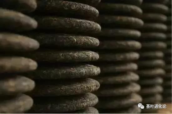 什么是湿仓,湿仓茶是什么