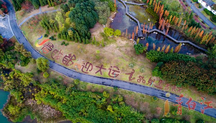 大运会会徽成都,成都大运会会徽图案