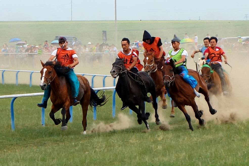草原那达慕大会呼伦贝尔,草原那达慕大会