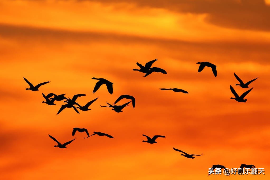 小学生不会写作文什么方法最有效,孩子不会写作文家长该怎么办