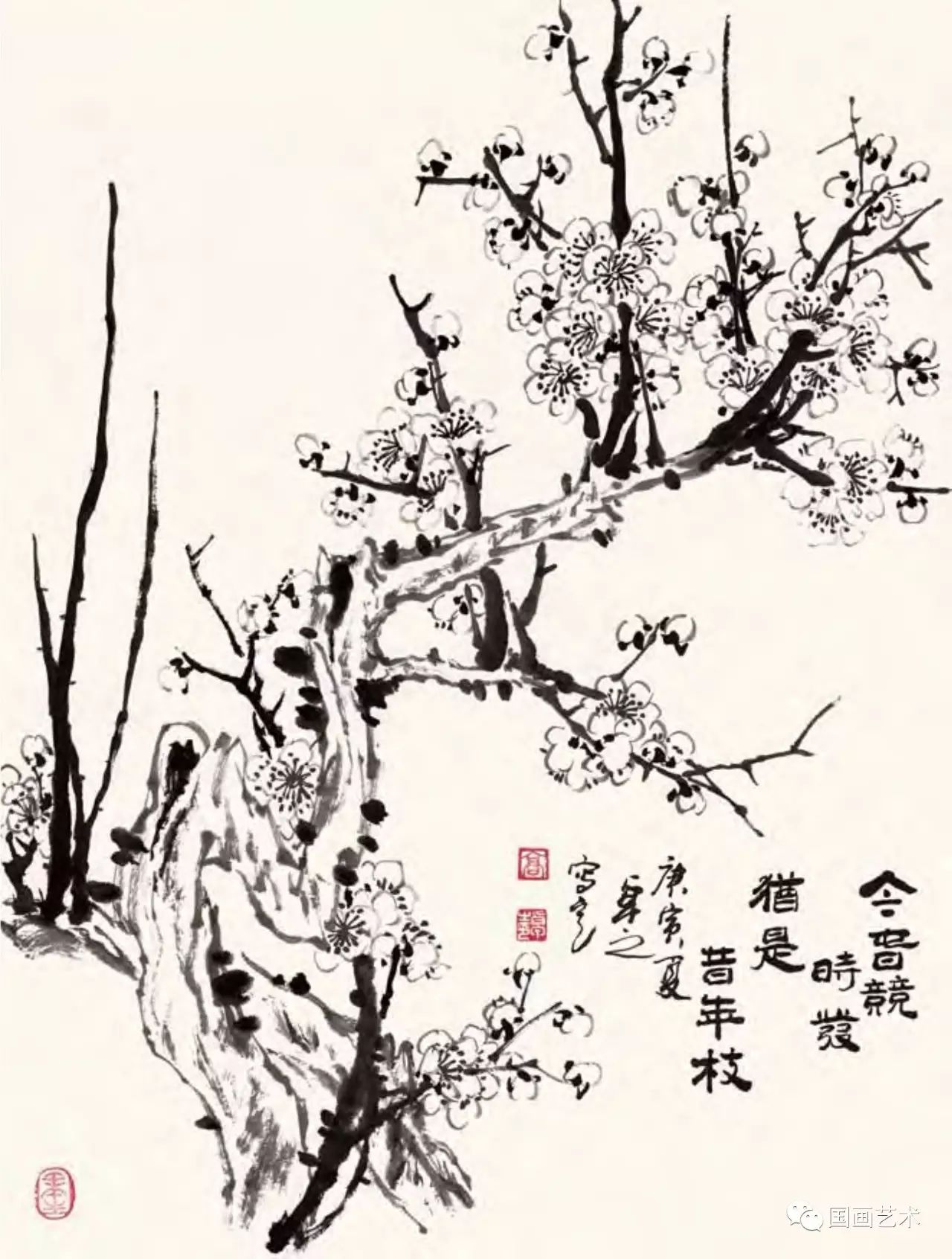 图文教程梅花,国画梅花的画法视频