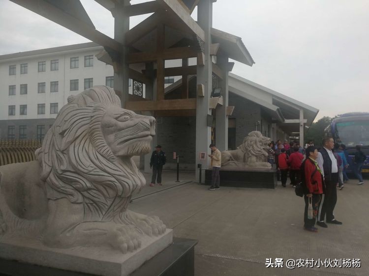 奉化溪口一日游攻略,奉化溪口一日游旅行社跟团多少钱