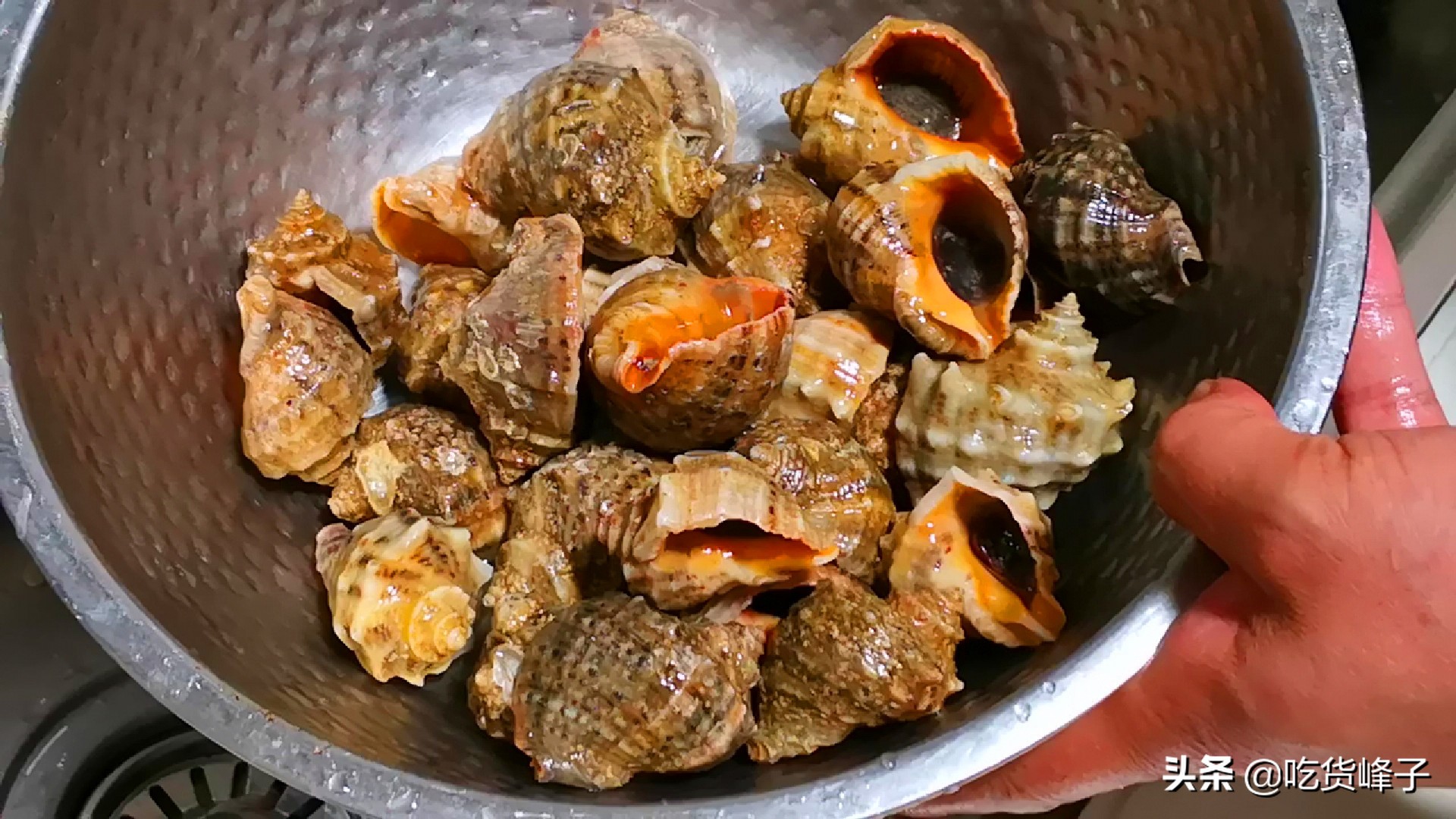 海螺怎样煮才好吃,海螺如何煮才好吃