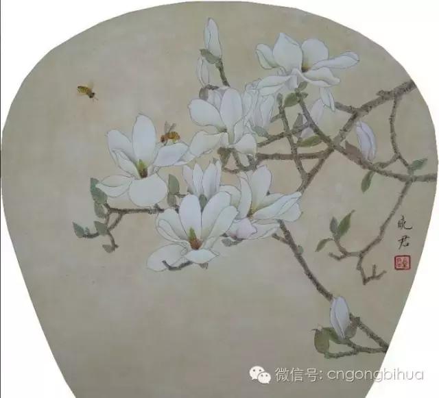 牛文霞工笔玉兰图设色过程,玉兰图工笔花鸟