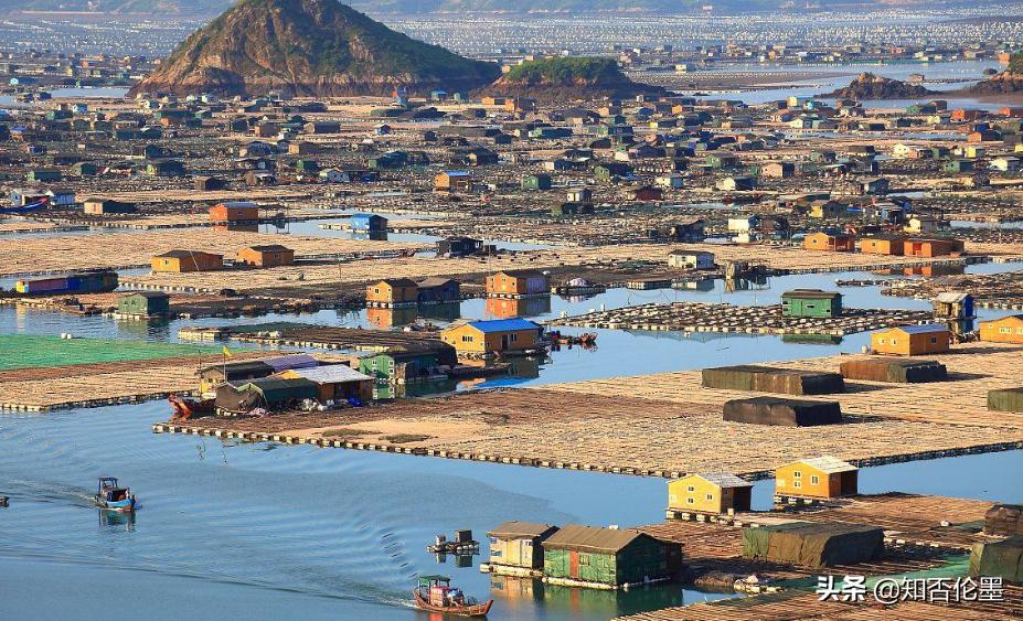 不愁销路的水产养殖什么,水产养殖不愁销路