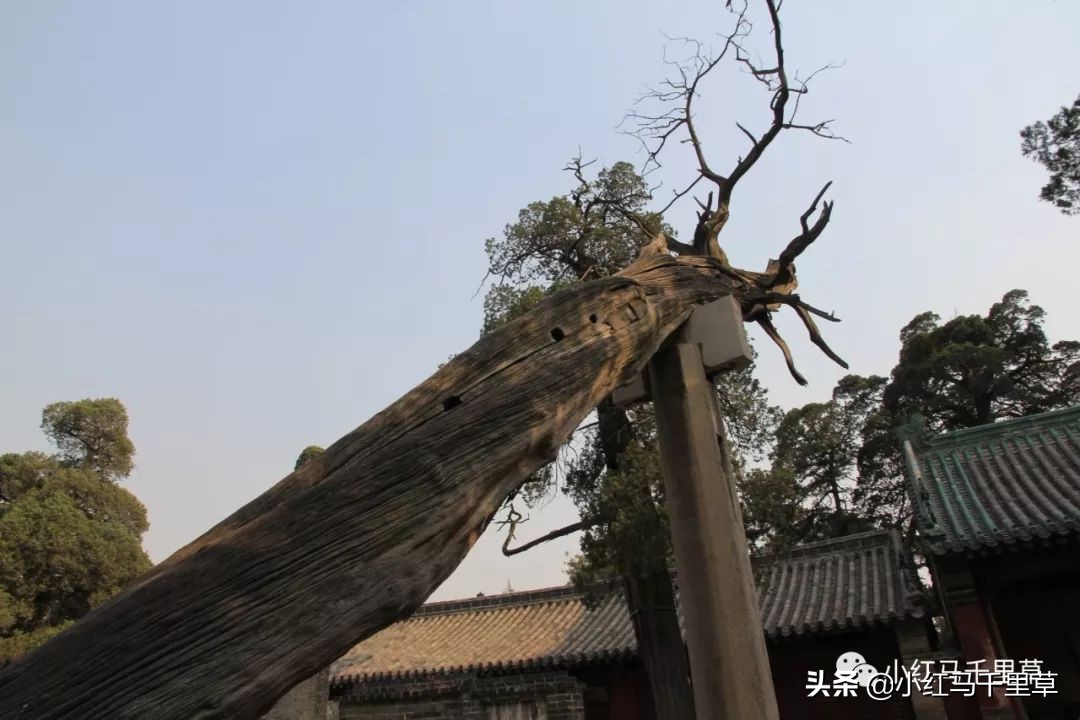 世界文化遗产曲阜孔庙孔林孔府,中国的世界文化遗产曲阜孔庙