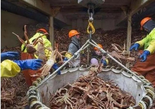 捕蟹人真实收入,捕蟹人能赚钱吗