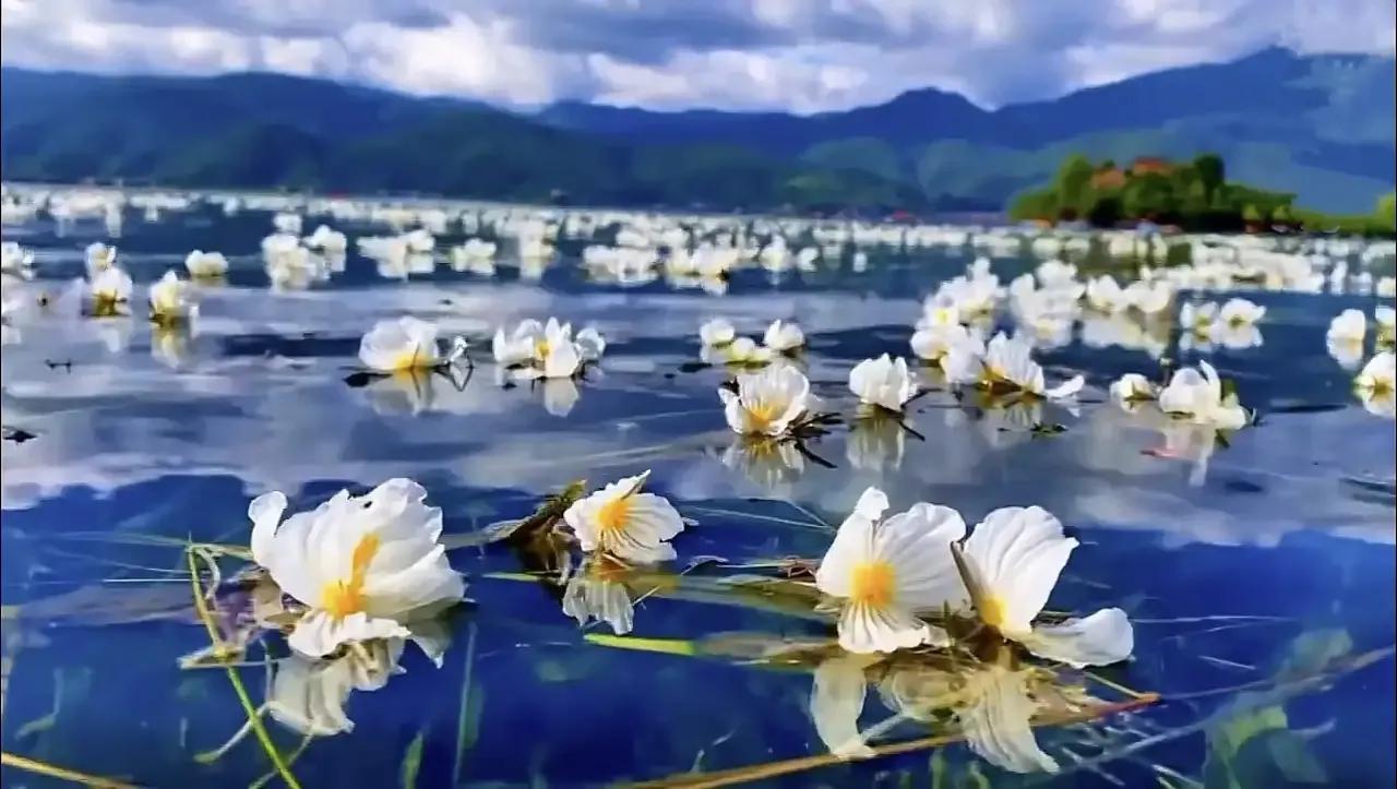 《提醒幸福》作文500字,提醒幸福毕淑敏原文赏析