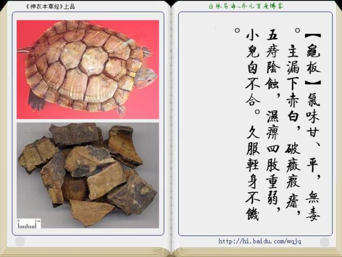本草纲目中药讲解视频,本草纲目中药图谱及药理讲解