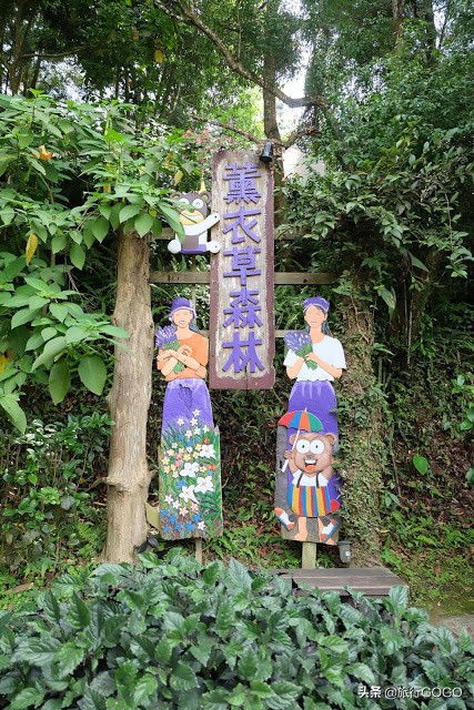 台中南投,台中南投台北攻略