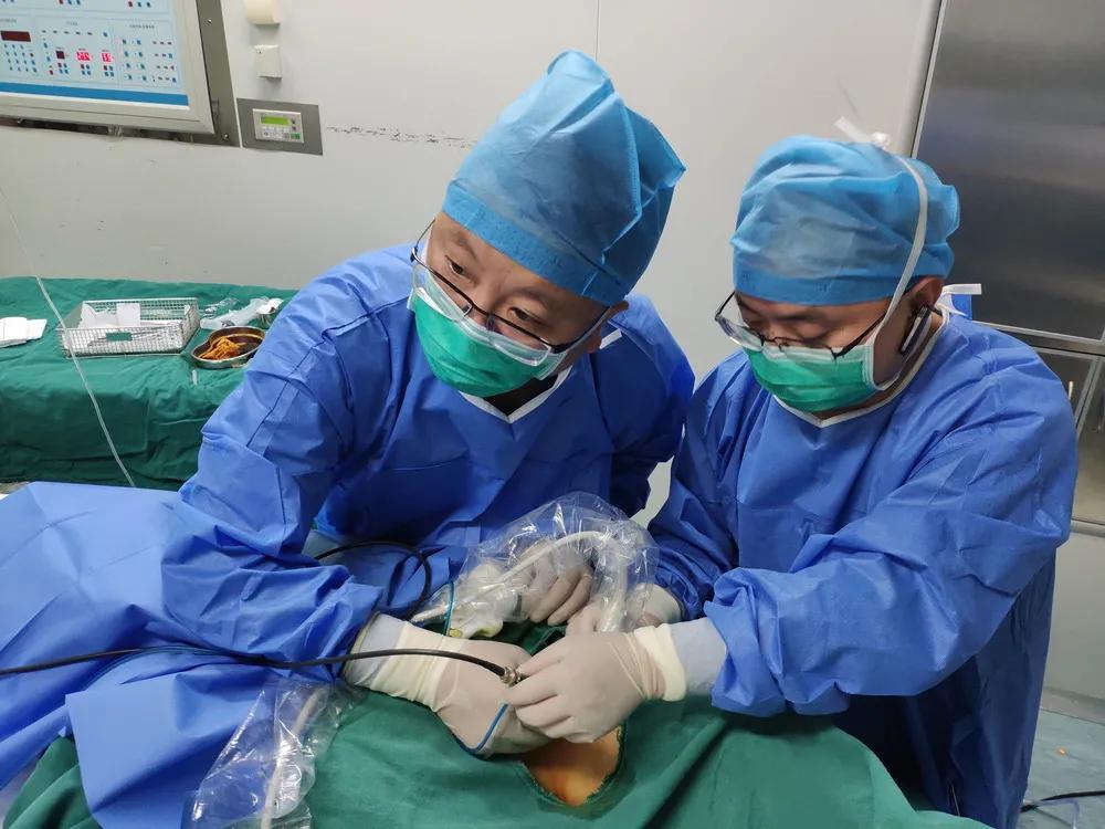 鼎医人才库新晋“明星”出炉你心中的TA上榜了吗？