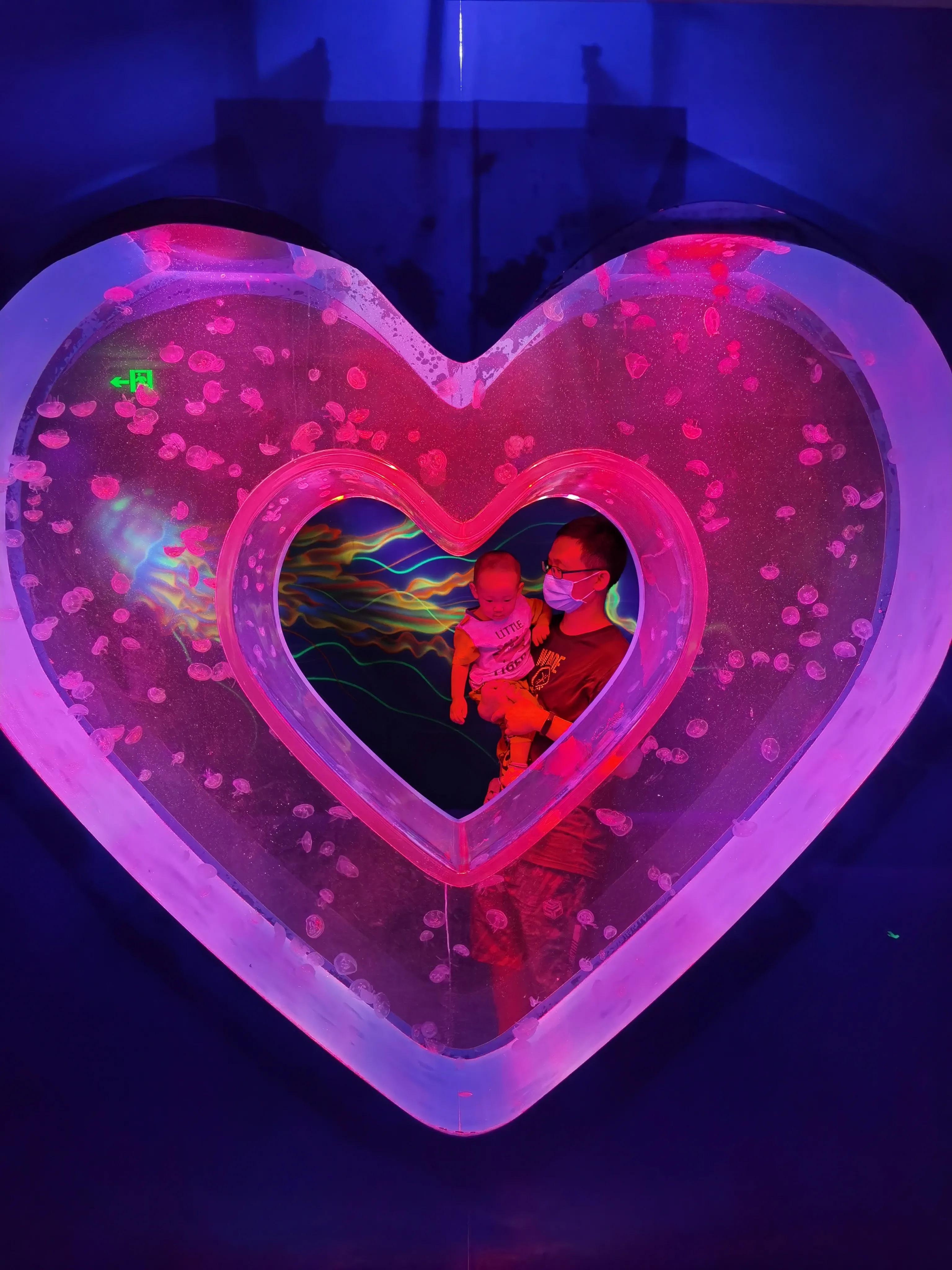 天津海洋馆新开的儿童乐园,天津适合孩子玩的水上乐园