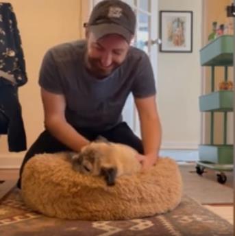 狗预知人类即将到来的灾难,狗预知了人类即将到来的灾难