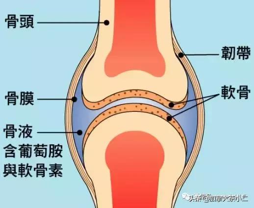 不吹不黑正确评价,costco有哪些保健品适合老年人