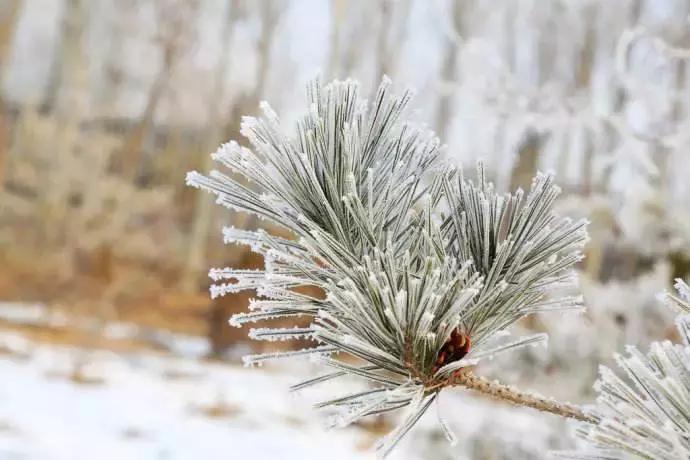 秦汉古道广东,粤北秦汉古道