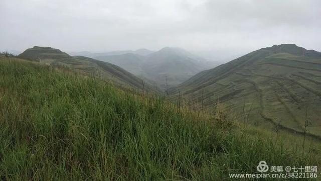 大美汨罗我的家,大美宝丰我的家