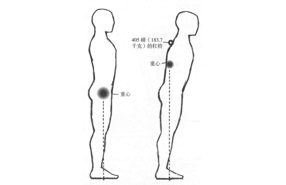 宝藏级|运动者都该看的负重人体运动解析
