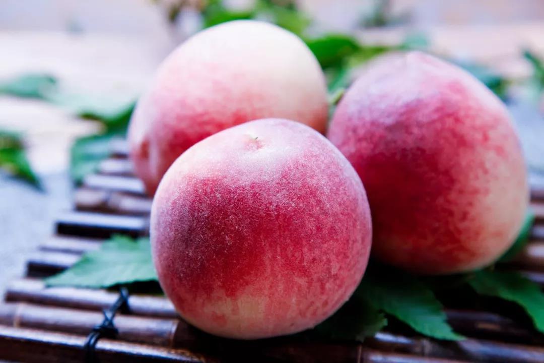 准备好去逛逛，济青高铁来了