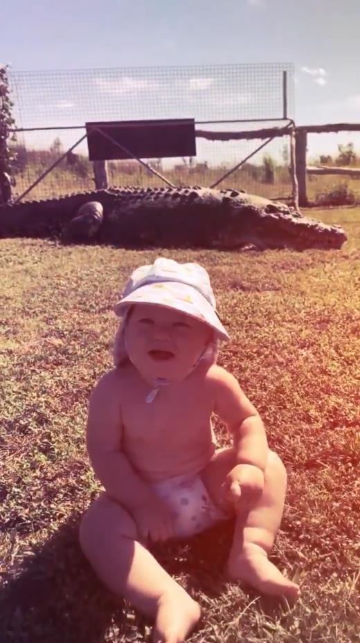 澳洲狂野早教:2岁娃单挑巨蟒,爸爸在一旁指点加油,这?