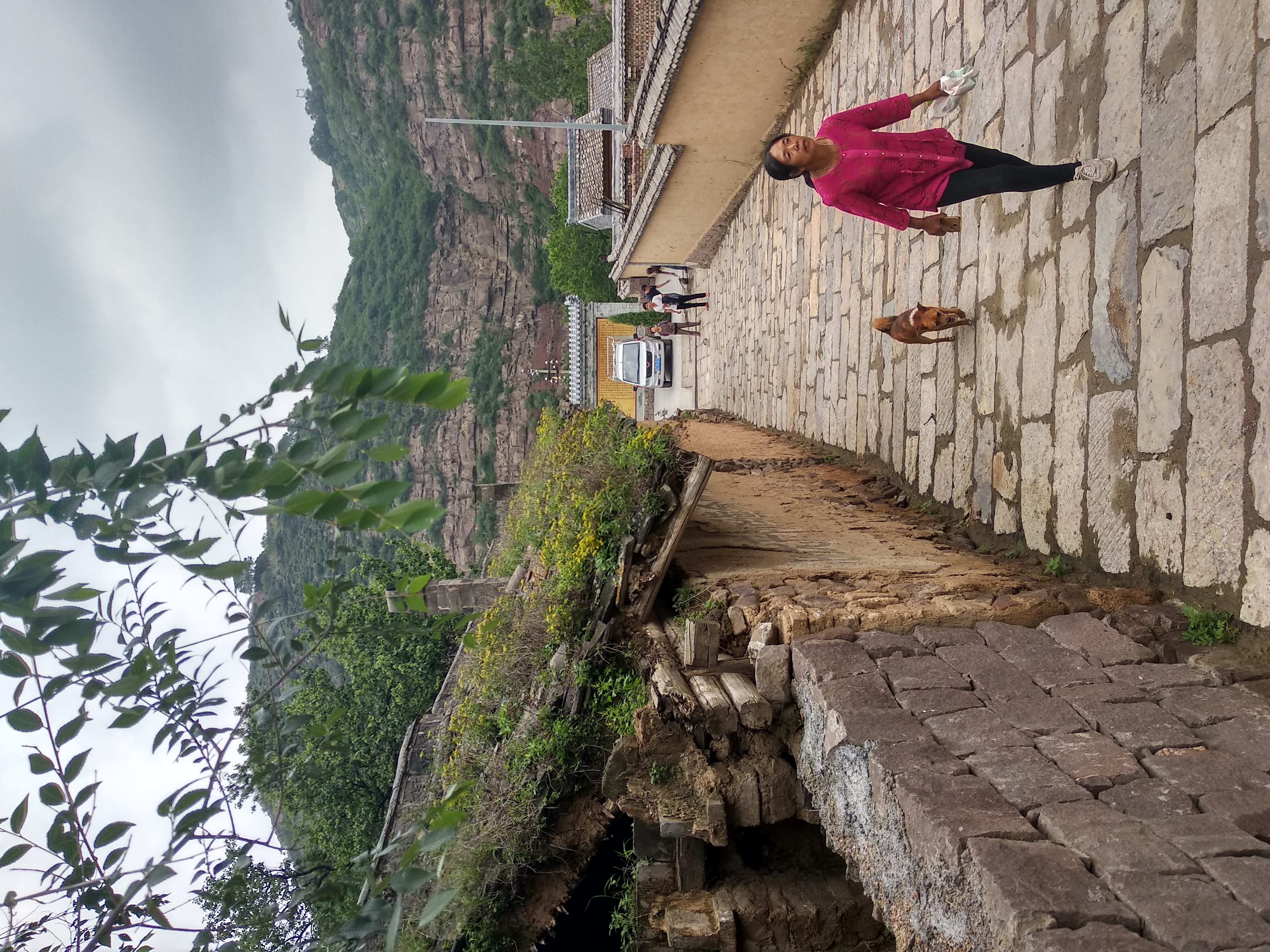 寻古探今,寻古觅今的视频