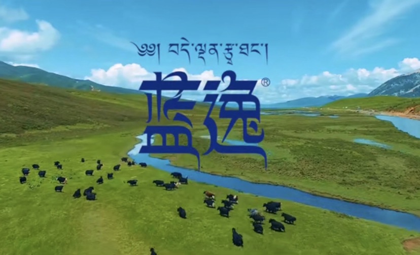 疫情导致企业生存艰难,疫情这两年企业生存现状