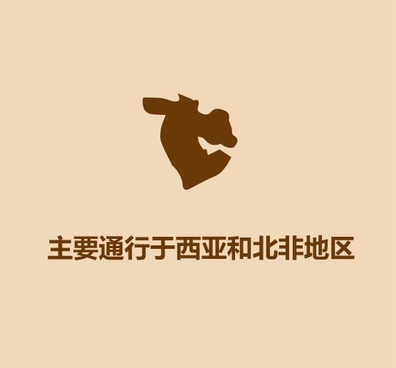 几分钟学会阿拉伯文,30分钟学会阿拉伯语