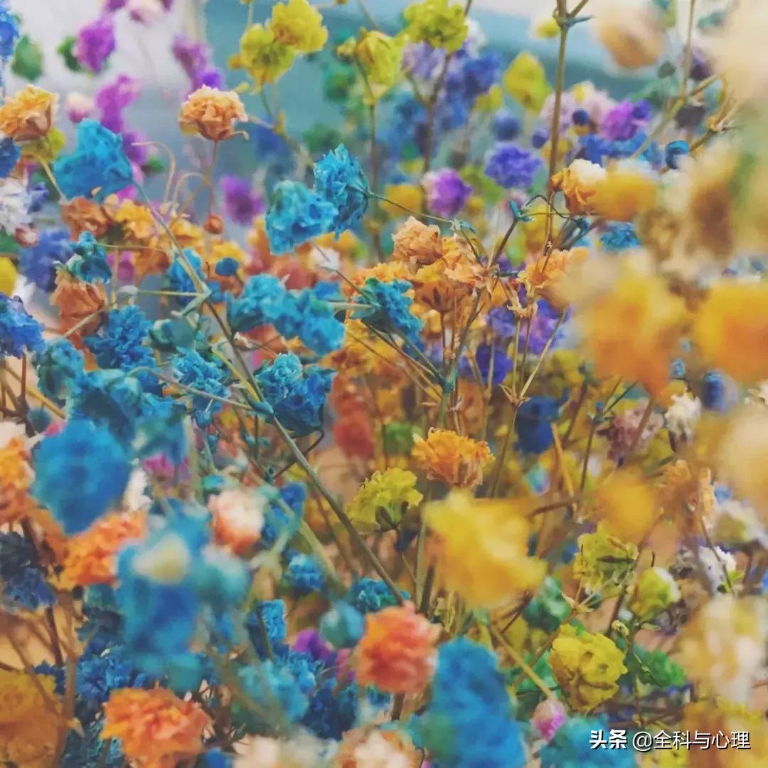 适合发朋友圈正能量短句心灵鸡汤,心灵鸡汤的正能量句子短句