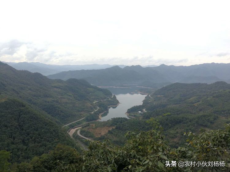 奉化溪口一日游攻略,奉化溪口一日游旅行社跟团多少钱