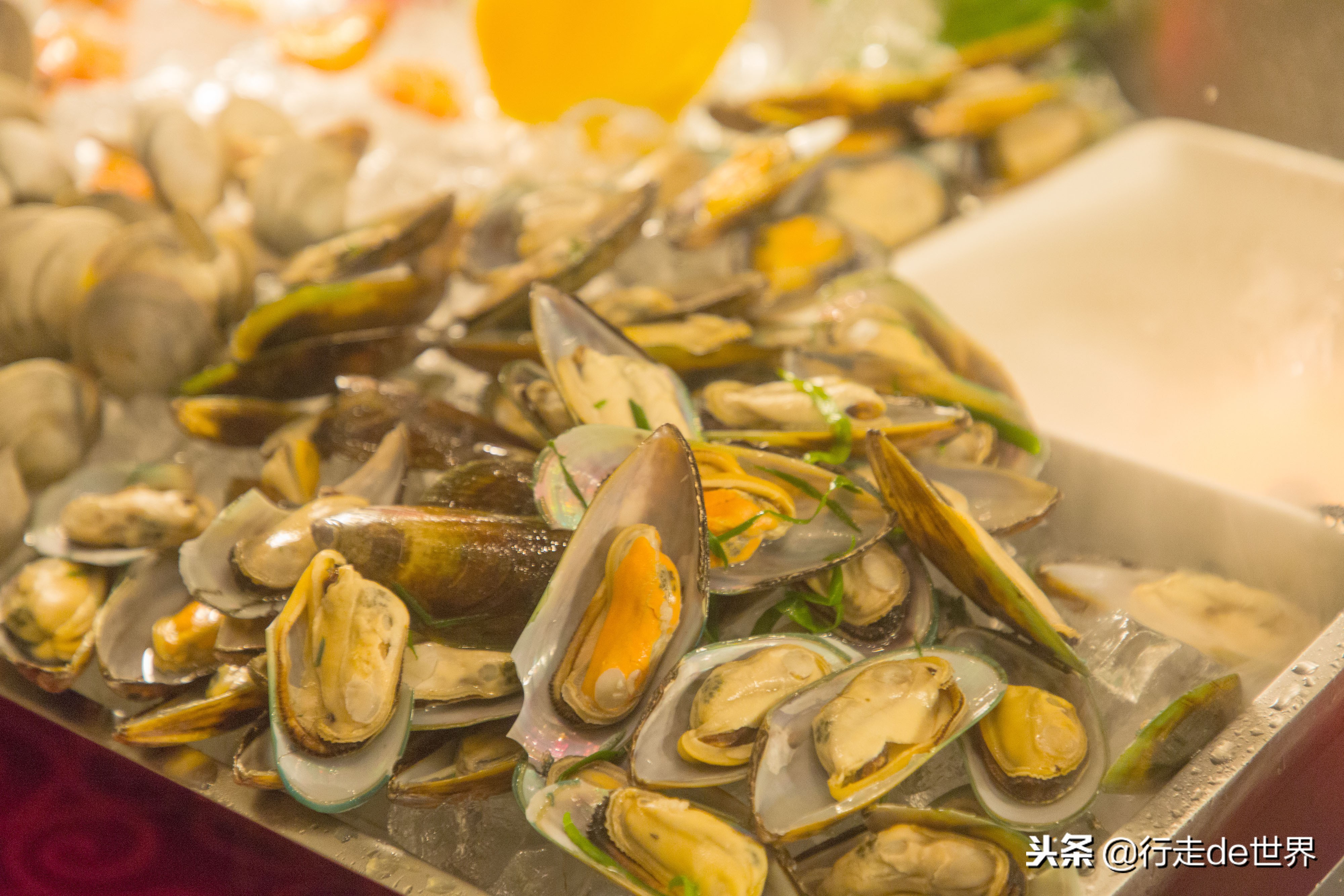 超多网红小姐姐打卡,网红温泉云瑶谷温泉