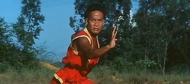 100部经典功夫老片,有哪些经典的武侠功夫片