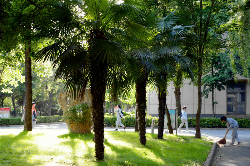 江苏省泗洪中学高考,江苏省泗洪中学在哪