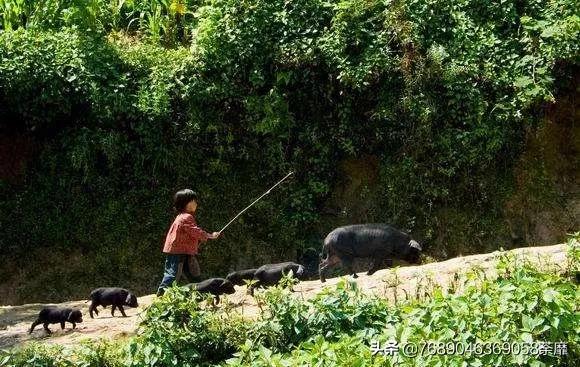 伟大母爱瞬间戳中泪点,母爱太伟大了很心酸