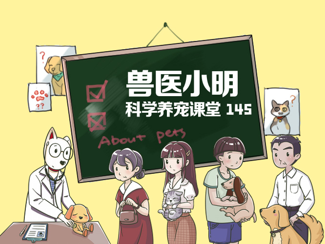 怀孕狗狗必须要打弓形虫吗,怀孕真的不能养狗吗