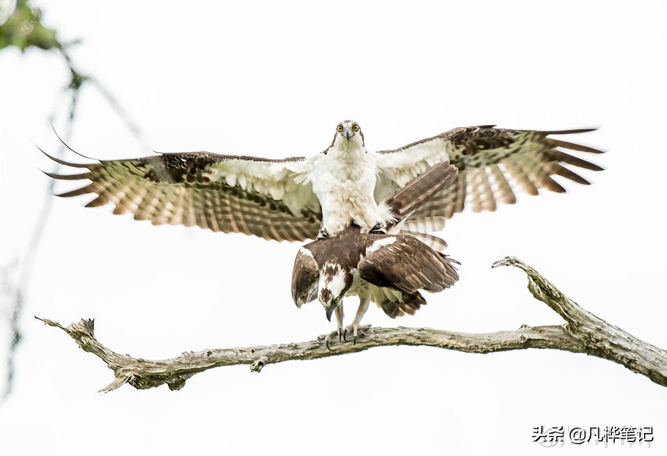 选择曝光快捷键,选择曝光