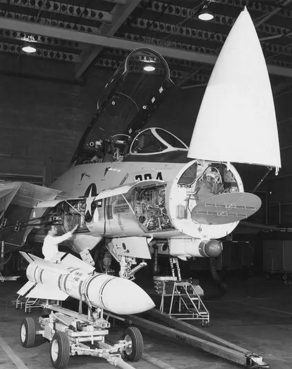 猫咪需要哪些用品,猫迷惑新技能