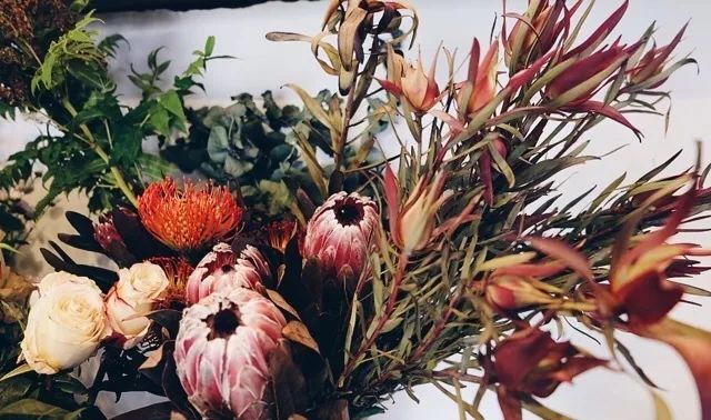 她辞去总监回家扶贫后续,她辞去总监回家扶贫结局