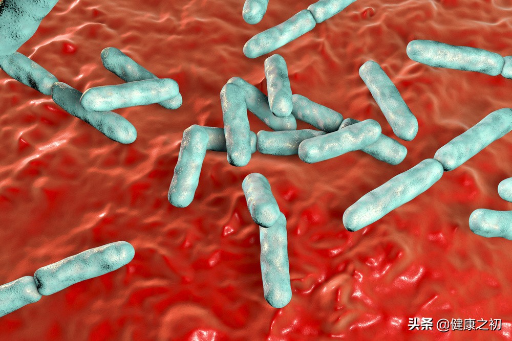 乳酸菌饮品忘记放冰箱，该不该扔了？