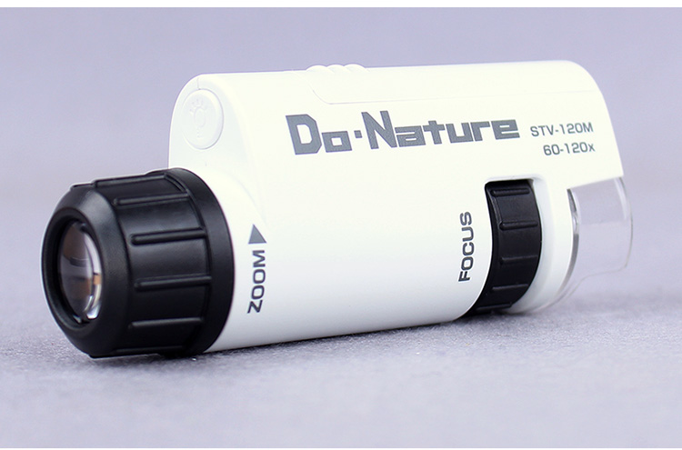 香港美女生物学家：破译人体大脑密码，让老年痴呆症治疗成为可能